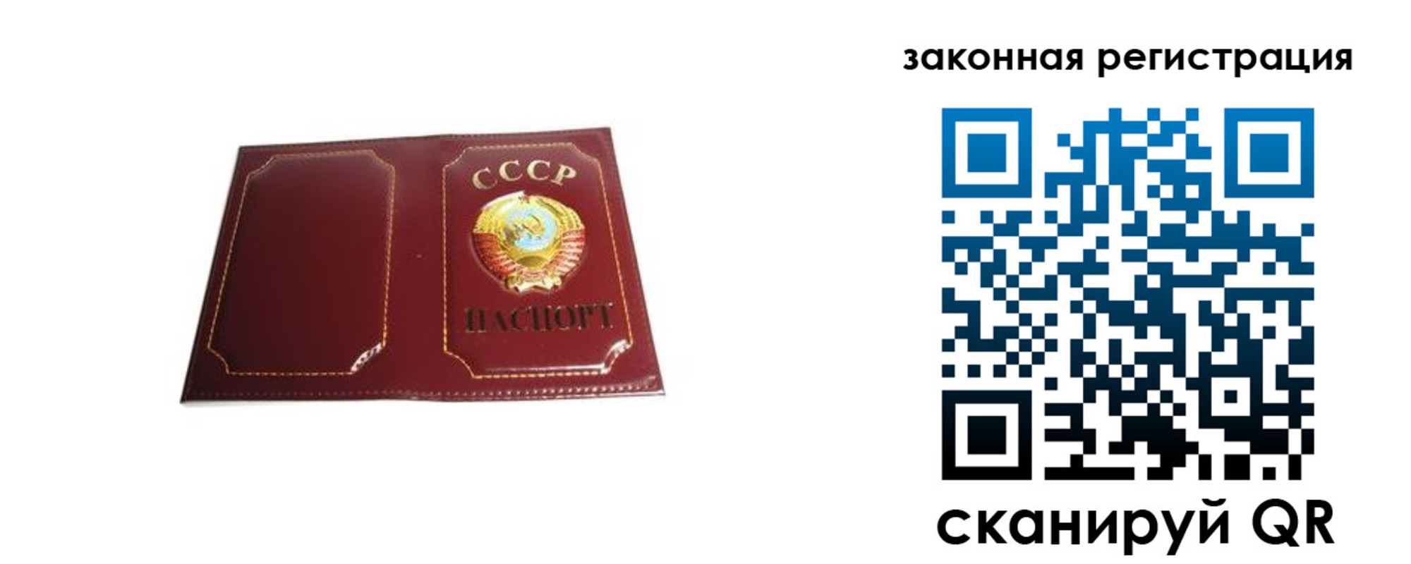 прописка поиск в Элисте